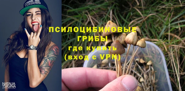 дурь Михайловка
