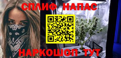 прущие грибы Заводоуковск