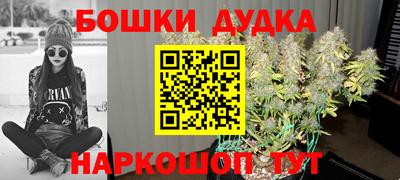 прущие грибы Заводоуковск