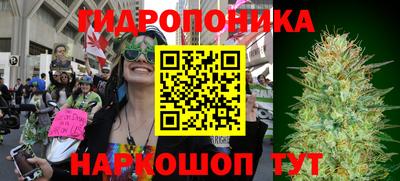 прущие грибы Заводоуковск