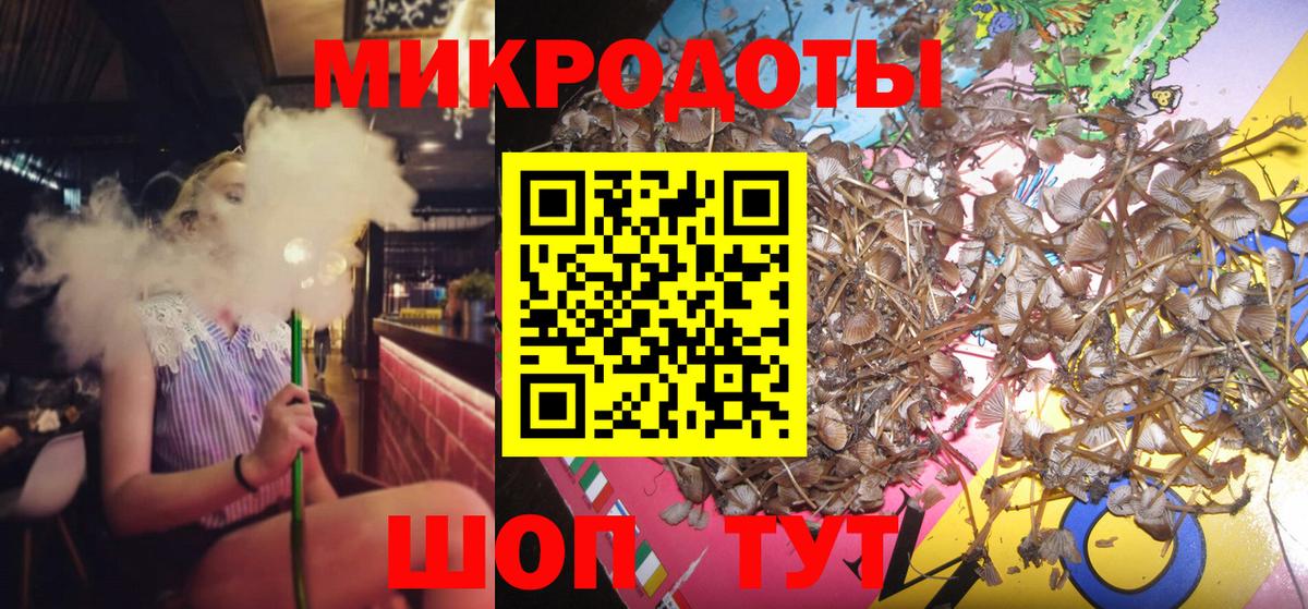 Галлюциногенные грибы Psilocybe  Вход с VPN  Заринск  Галлюциногенные грибы ЛСД 